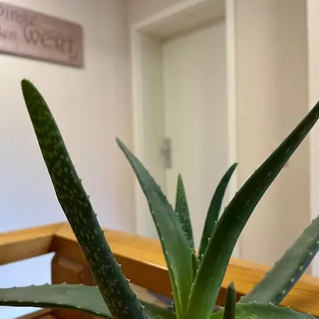 Apartment 2 Sz- Lichtenberg Salzgitter