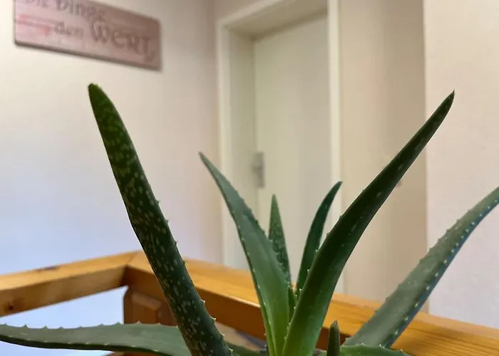 Апартаменты 2 Sz- Lichtenberg Зальцгиттер